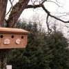 Vogelhaus aus Thermofichte